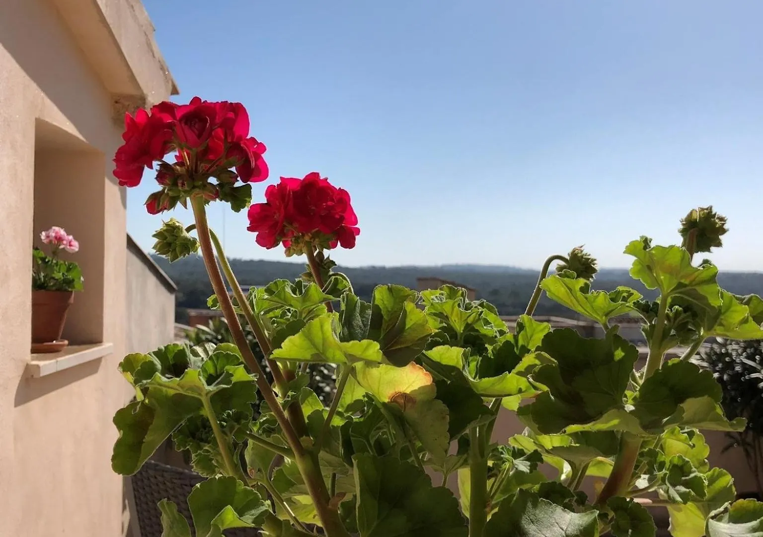 Vista De La Vila - Turismo De Interior. Llubi Spain